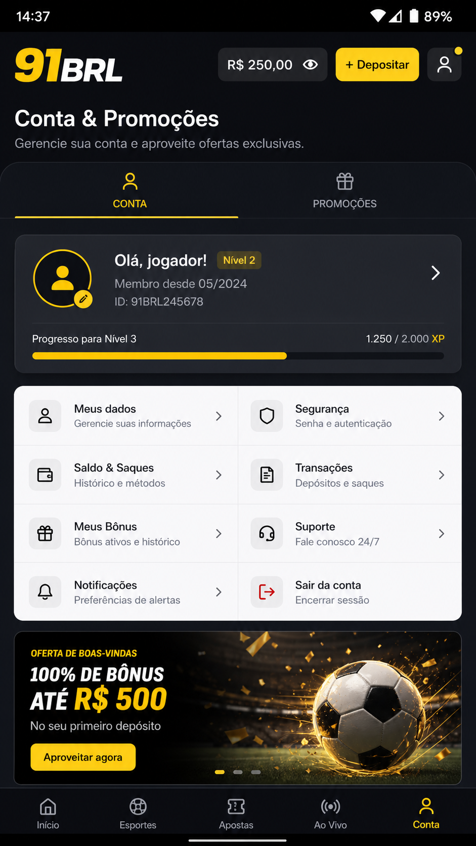 91brl screenshot