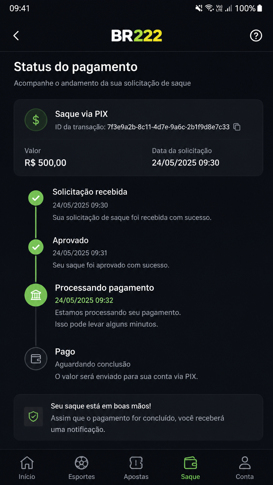 BR222 screenshot